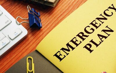 Untitled design - 2026-01-14T211020.455 village disaster emergency plan